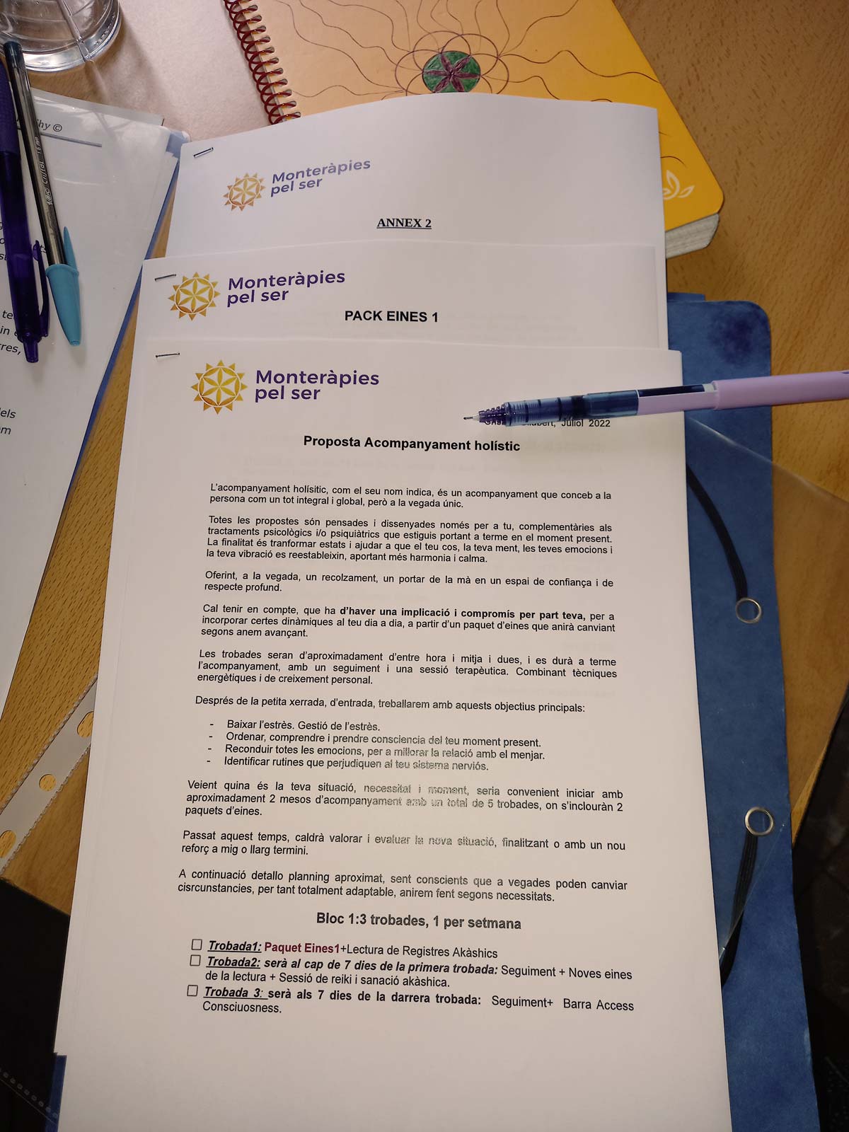 Monteràpies pel ser - Montserrat Llauradó - Acompanyament Holístic